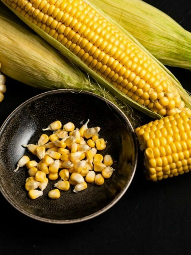 Benefits Of Sweet Corn For Skin And Hair